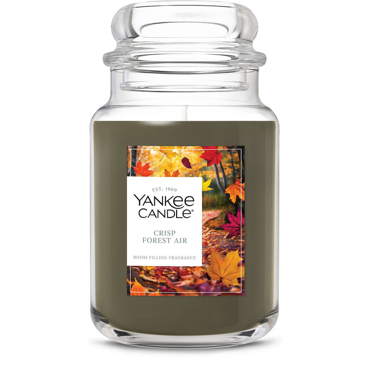 Crisp Forest Air Original Large Jar Candle A0